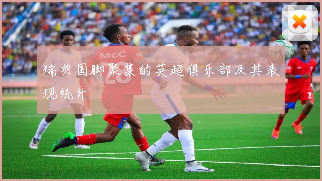 瑞典国脚聚集的英超俱乐部及其表现统计